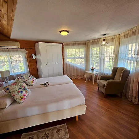 Carlitos Vistas Al Mar Y A La Montaña Villa Costa Adeje (Tenerife)